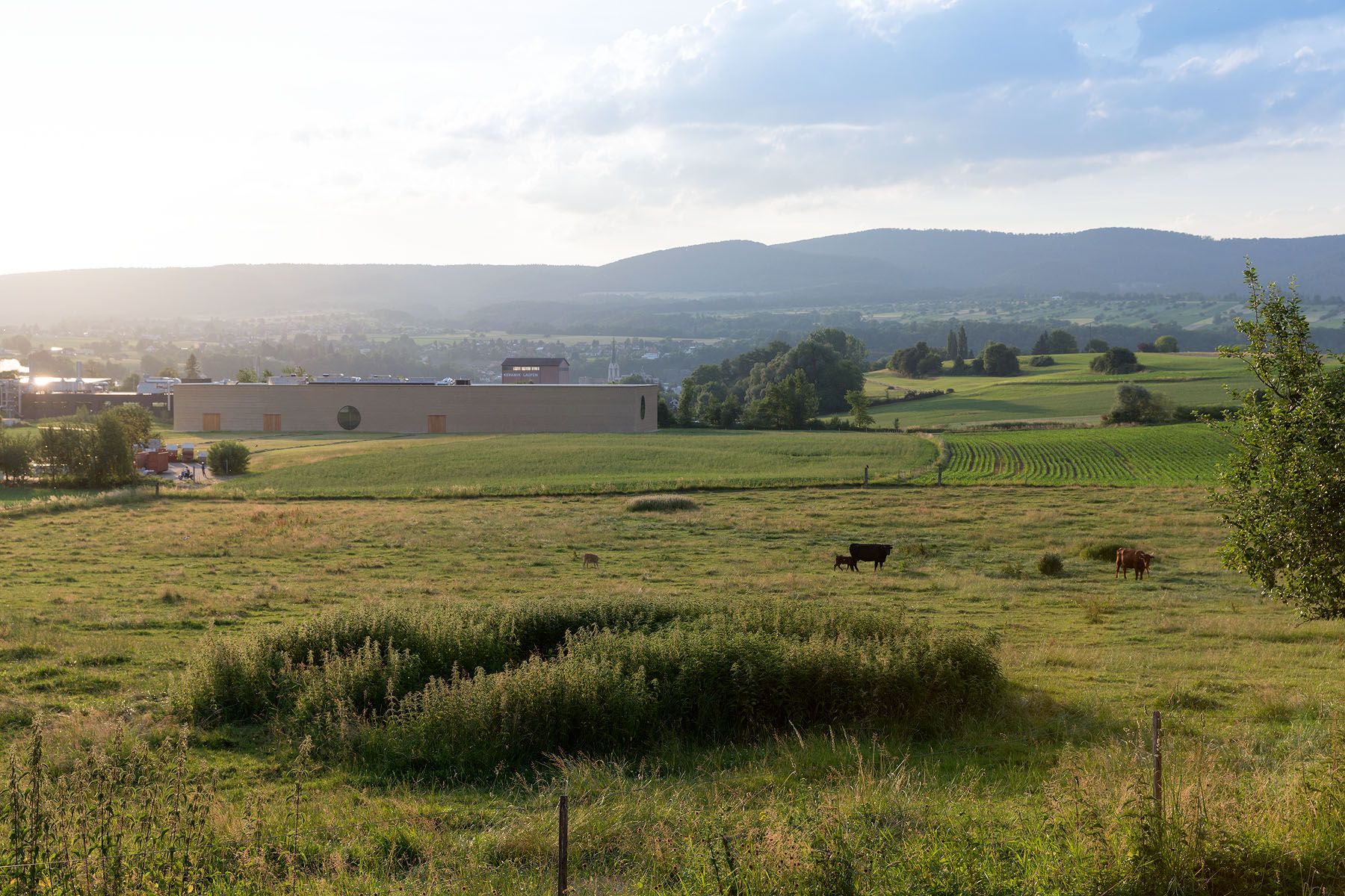 Ricola Kräuterzentrum, Laufen Switzerland – Herzog & de Meuron