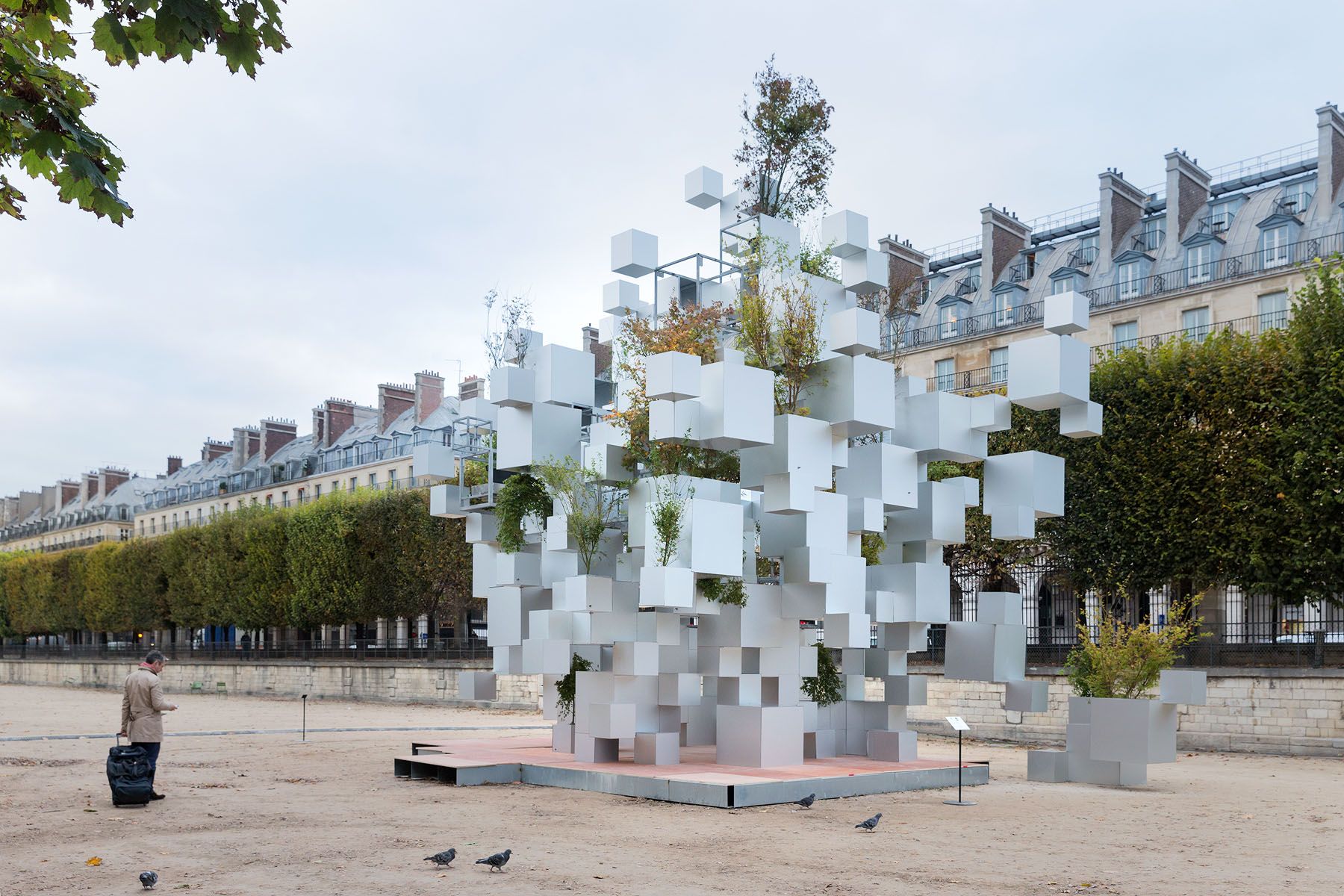 Many Small Cubes Tuileries, Paris – Sou Fujimoto